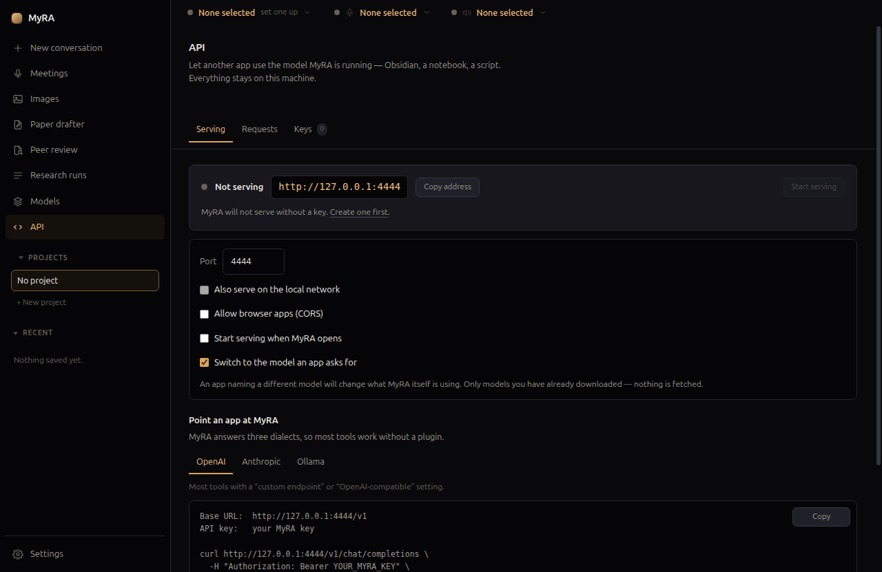 The API page: serving, and how to point another app at it